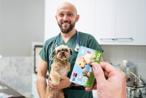 Option carte Collection Animaux